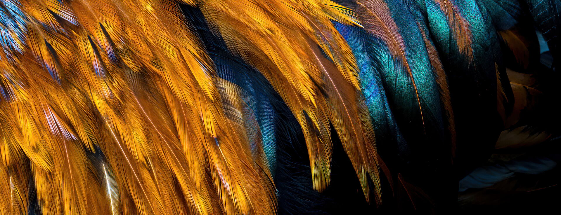 Reconnaissance des supports minéraux